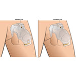 Lockdown Customizable Chastity Cage