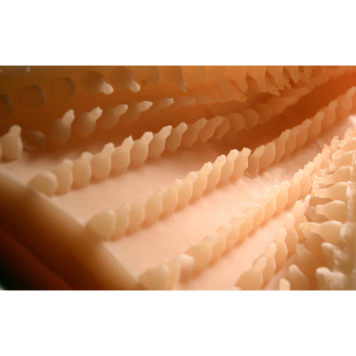 LoveBotz Pandoras Pussy Sex Machine Masturbator Attachment